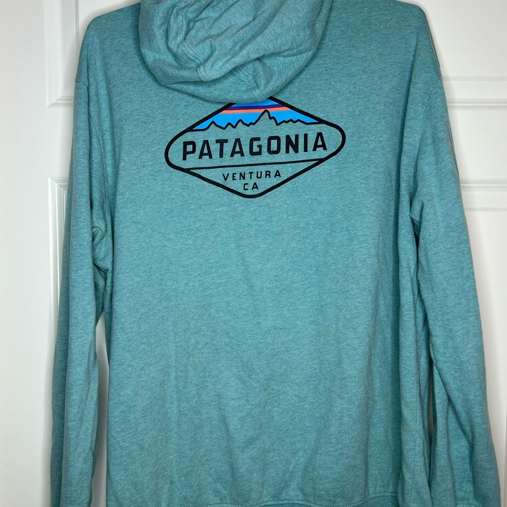 Patagonia Teal Logo Hoodie